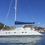 Catamaran Cypraea