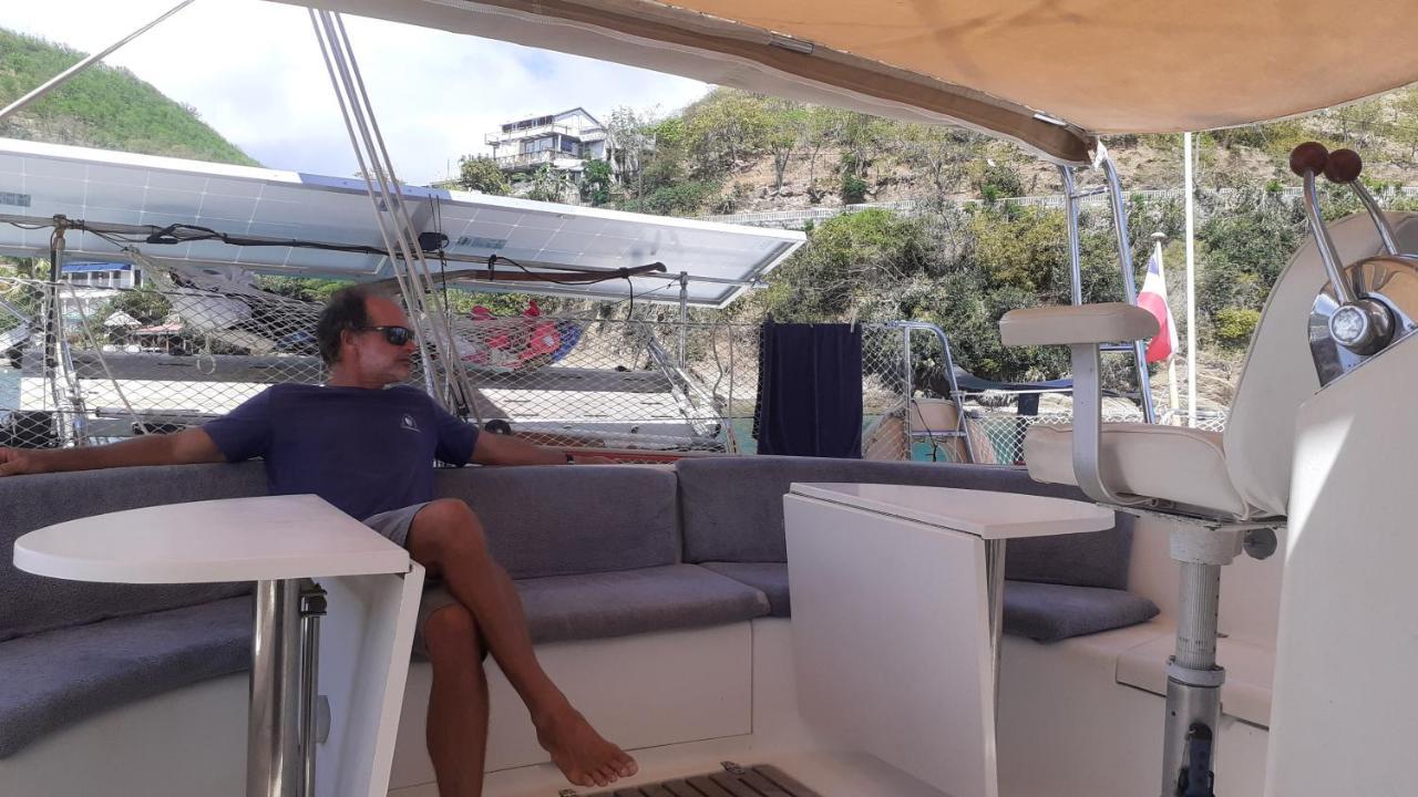 Catamaran Cypraea *